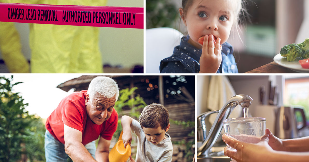 lead removal warning tape, a child eating, a grandfather and grandson working in a garden, and a child filling a glass of water from the faucet