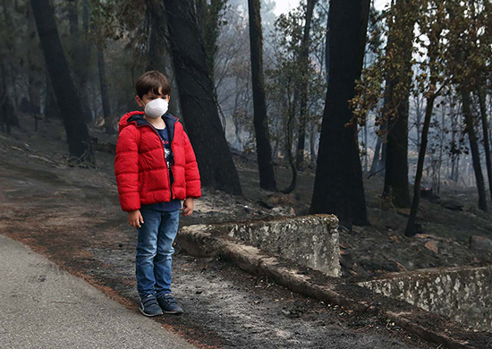 Young child wearing mask standing next to a forest after a fire