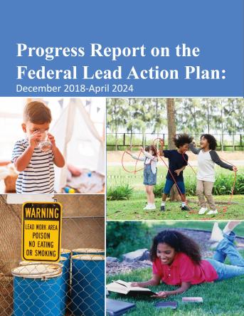 Progress Report on the Federal Lead Action Plan